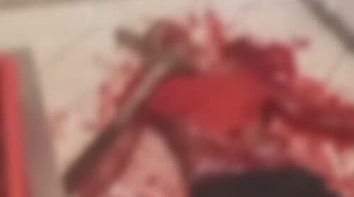 VÍDEO: Homem tenta estuprar mulher e acaba morto com golpes de picareta, em Manaus