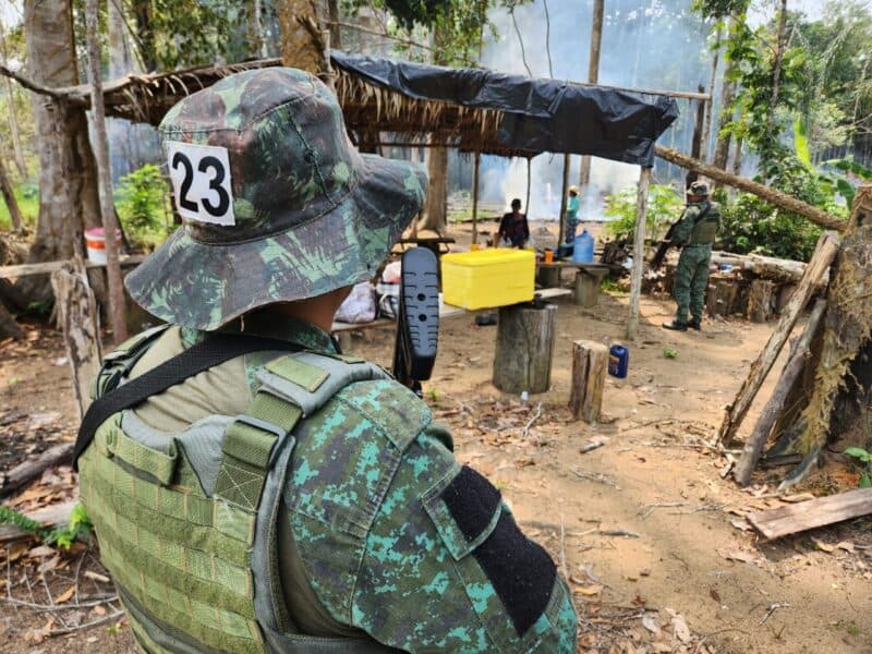 Após denúncias, homem é preso por desmatamento e queimada no Amazonas