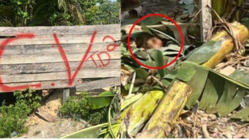 Suspeito de agredir esposa é morto a pauladas por membros de suposta facção, em Manaus