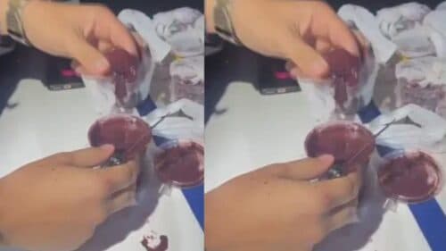VÍDEO: Motociclista é preso por entregar açaí misturado com cocaína, no DF