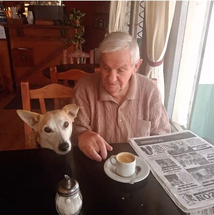 VÍDEO: Restaurante argentino faz sucesso ao aceitar que animais de rua façam companhia a clientes