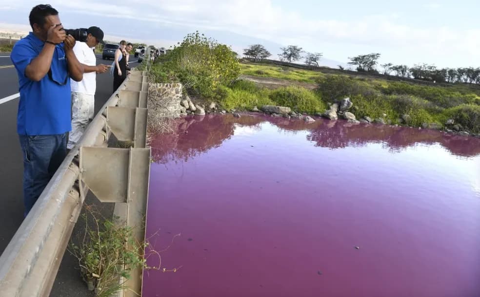 Lago no Havaí fica completamente rosa; saiba o motivo