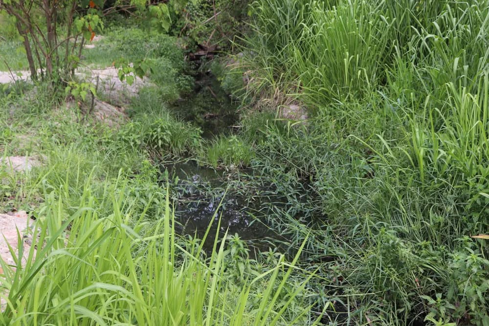 BRK Ambiental é multada em mais de R$ 1 milhão por vazamento de esgoto em córrego de Gurupi