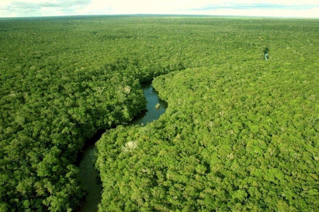 Governos da Noruega e do Reino Unido doam R$ 460 milhões para ações de proteção da Amazônia