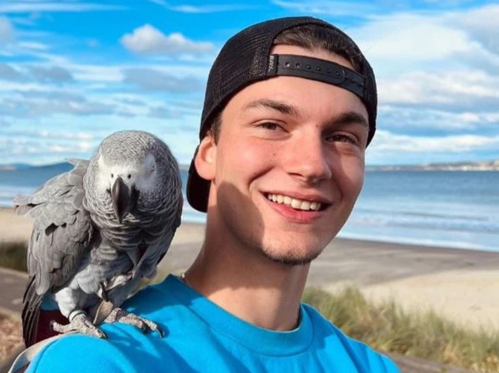 VÍDEO: Estudante faz imagens após ataque de tubarão para se despedir