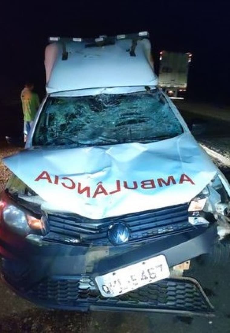 Ambulância se envolve em acidente com animal na BR-153