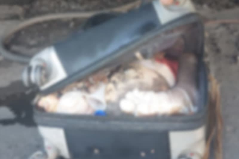 Com gorro de Papai Noel, cabeça e partes de corpo são encontradas no Roadway