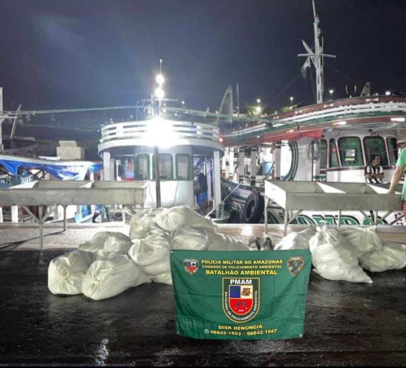 Mais de uma tonelada de pescado ilegal é apreendido na feira da Panair, em Manaus