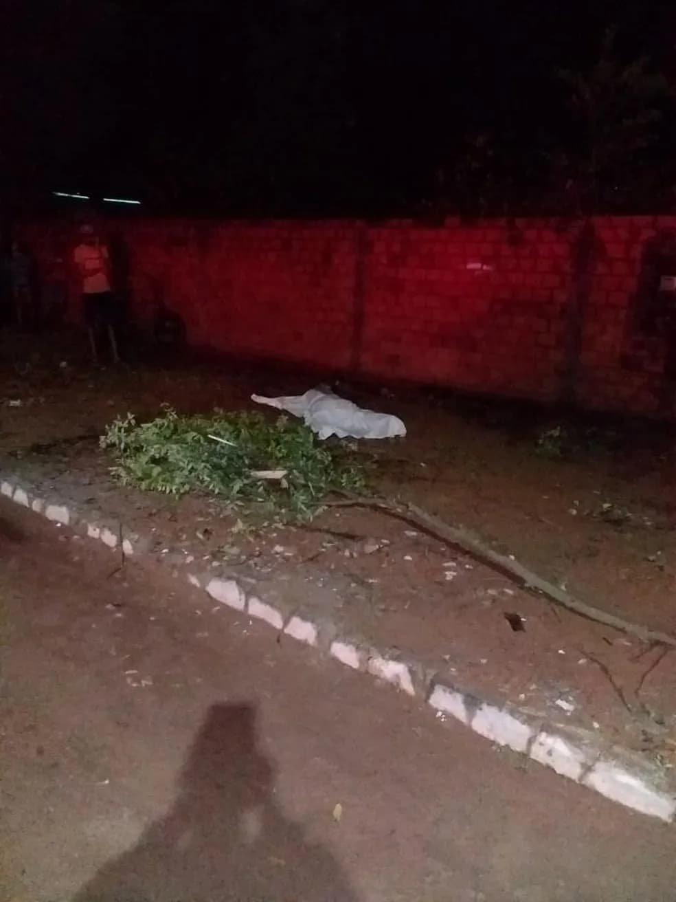 Mulher é assassinada na frente da própria casa em Silvanópolis