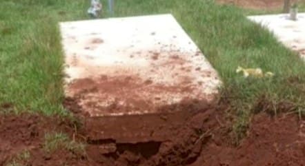 Homem ameaça usar a cabeça da sogra morta para assustar a esposa no interior de Goiás