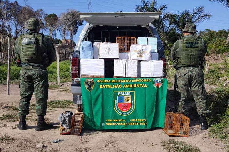 Após denúncia, sete pessoas são presas por caça ilegal de aves silvestres