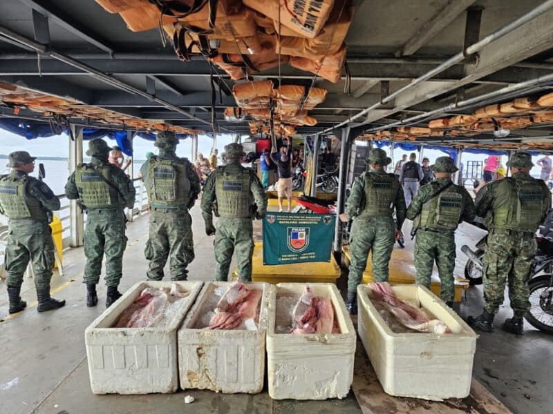 Quase 330 quilos de pirarucu avaliados em R$ 9,9 mil são apreendidos em Manaus