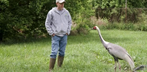 VÍDEO: Ave que era “parceira” de humano morre aos 42 anos