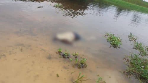 VÍDEO: Pescador encontra corpo ‘boiando’ em rio, no interior do AM