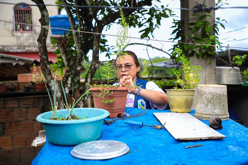 Confira os bairros de Manaus mais afetados pela dengue