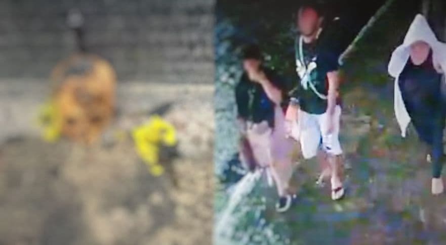 Após demissão, ex-funcionária deixa ritual com crânio humano para patrões em MG