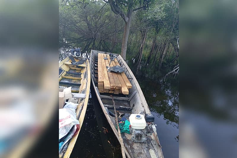 Em Barreirinha, homem é preso por extração ilegal de madeira