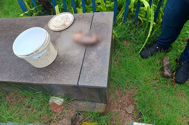 Funcionários de limpeza pública encontram feto em cemitério de Manaus