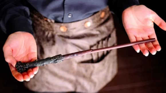 Polícia é acionada após ‘varinha de Harry Potter’ ser confundida com faca