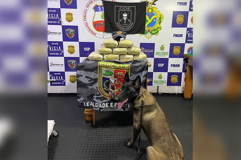 Base Fluvial Arpão 1 apreende droga avaliada em R$ 260 mil, em Coari