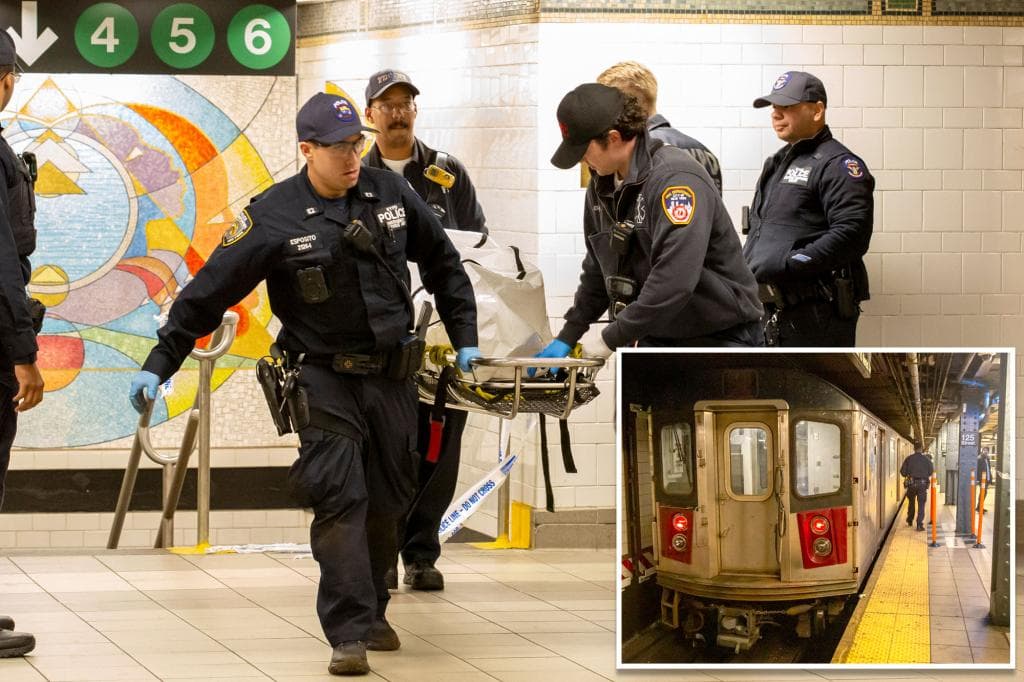 Homem morre atropelado por metrô após ser empurrado em estação, nos EUA