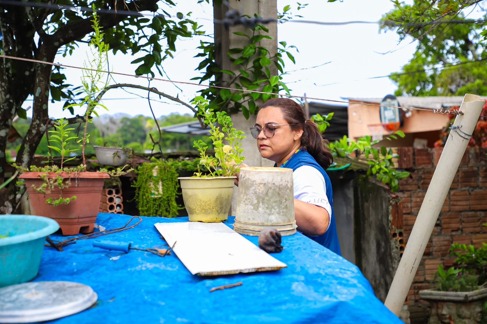 Informe Epidemiológico: Mais 25 casos de dengue são confirmados em Manaus