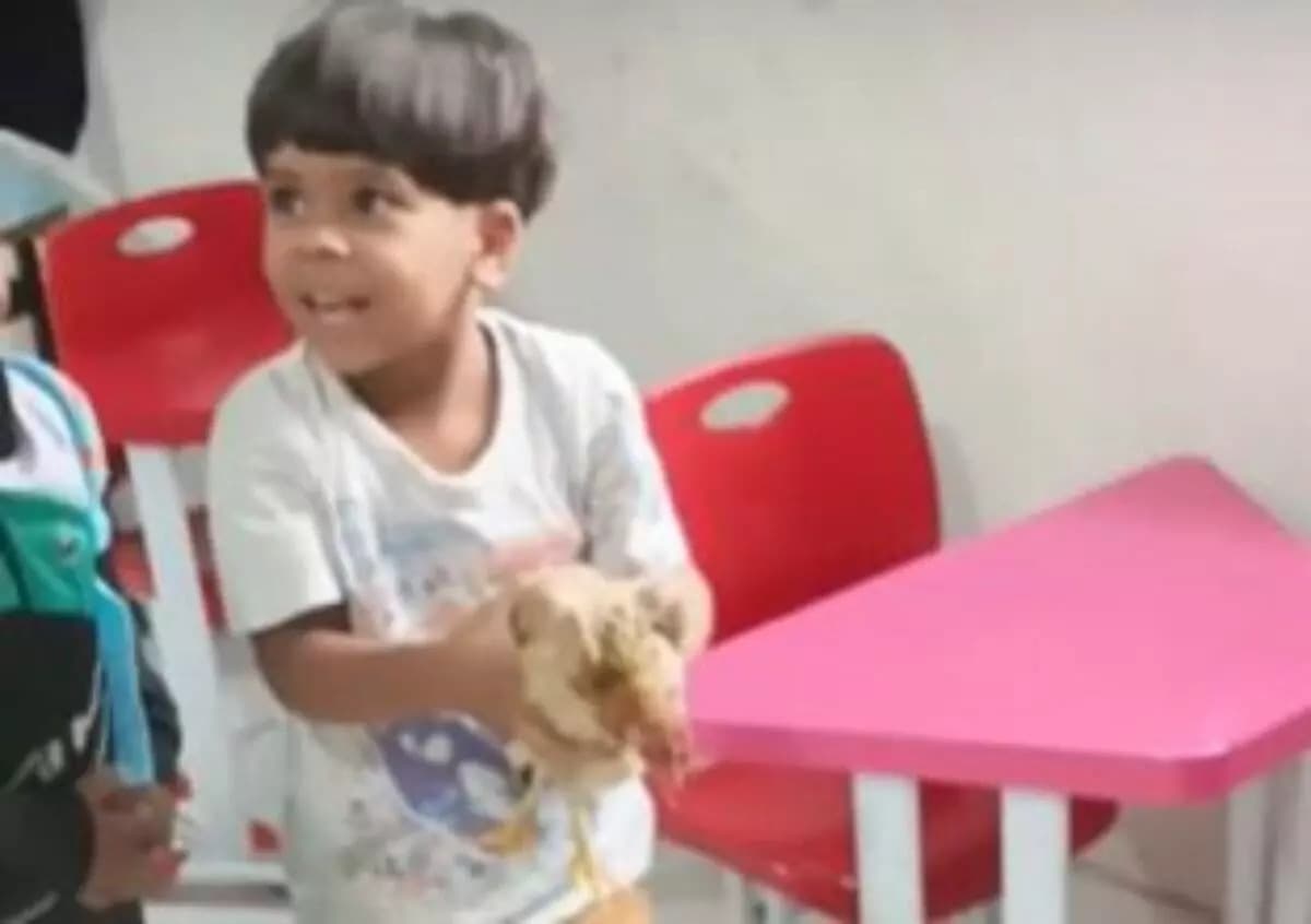 VÍDEO: Menino leva galinha para a escola em Goiânia e vídeo viraliza