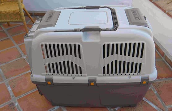 Mulher é presa por colocar filho em caixa de transporte para cães