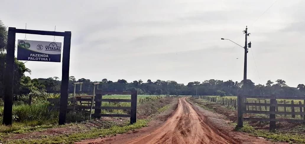 Reintegração de posse de fazenda em Lábrea é suspensa pela DPE; entenda a polêmica