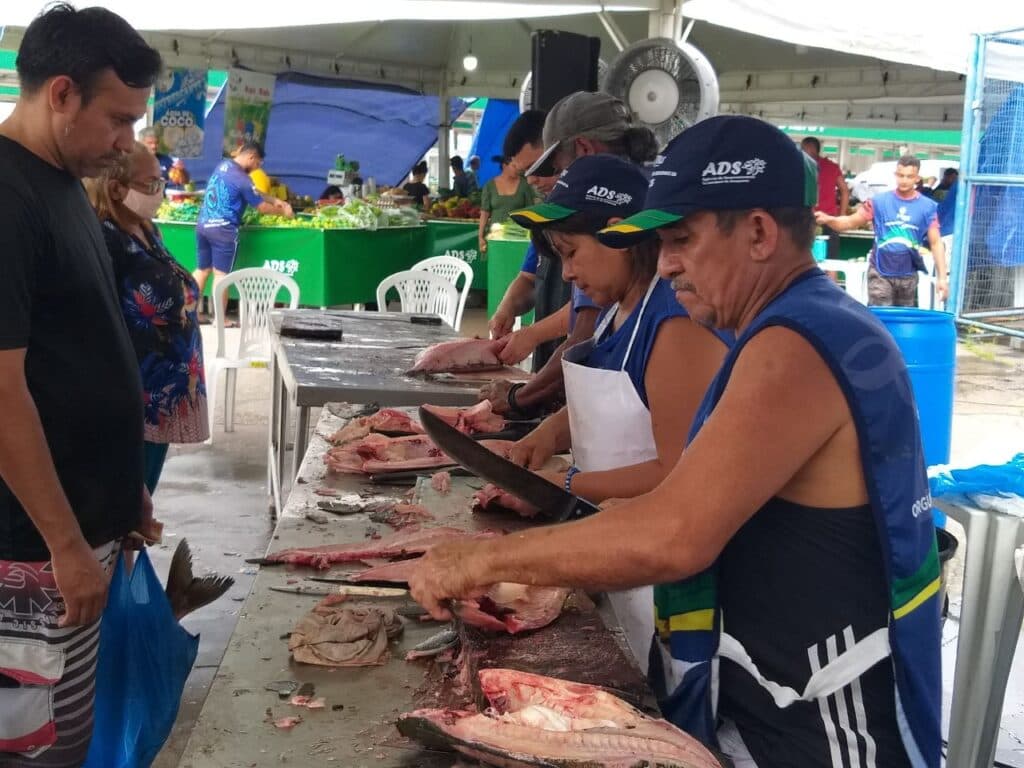 Semana Santa: FVS-RCP alerta sobre cuidados na compra e consumo de pescados
