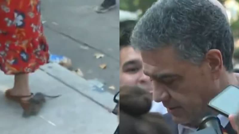 VÍDEO: Rato interrompe coletiva de imprensa em Buenos Aires e causa pânico