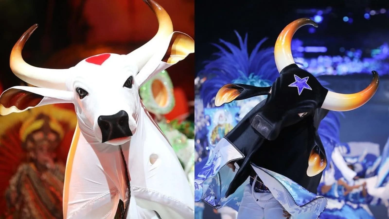 Bois-bumbás de Parintins chegam ao Paraná para o 32º Festival de Curitiba