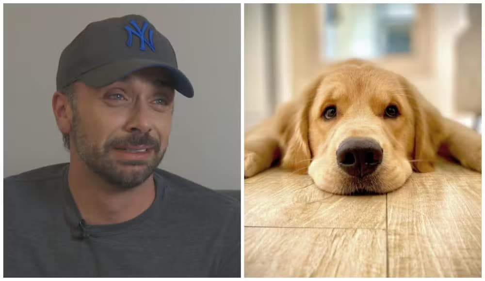 “O que mais me dói é saber que ele sofreu”, diz tutor de cão que morreu em transporte aéreo