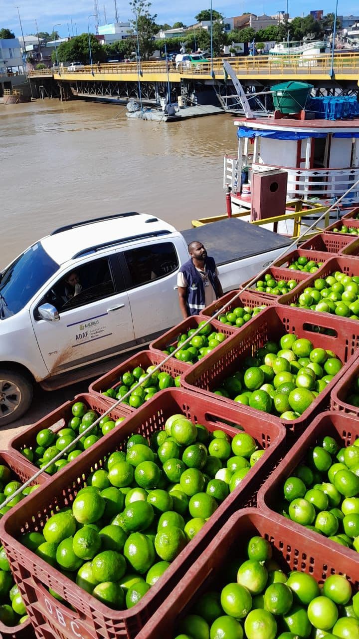 Adaf apreende carregamento irregular de frutas no Porto de Parintins