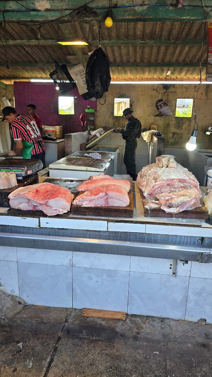 Em Manacapuru, PM apreende cerca de 400 quilos de pescado e quatro quelônios
