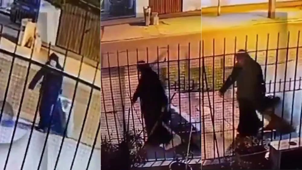 Vídeo: ‘Freira’ é flagrada carregando mala com mulher morta há um ano no Chile