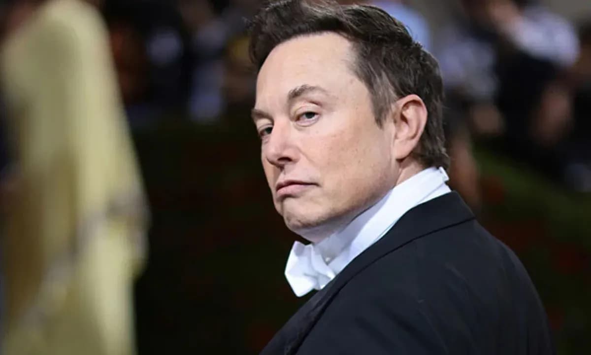 Elon Musk é contra a proibição do TikTok nos Estados Unidos