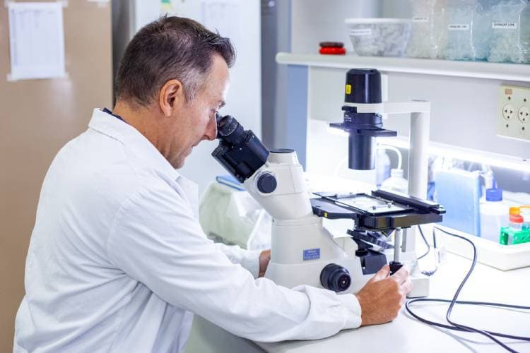 Butantan identifica em animais marinhos e plantas compostos que matam parasita da doença de Chagas