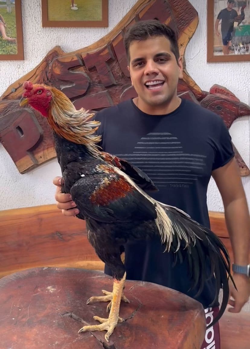 Influenciador “Pisca” é preso na Paraíba acusado de organizar rinhas de galos em Manaus e ameaçar deputada