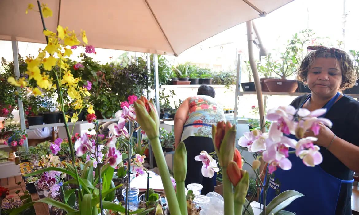 Desenrola para MEI’s e microempreendedores começa nesta segunda (13): Veja como proceder