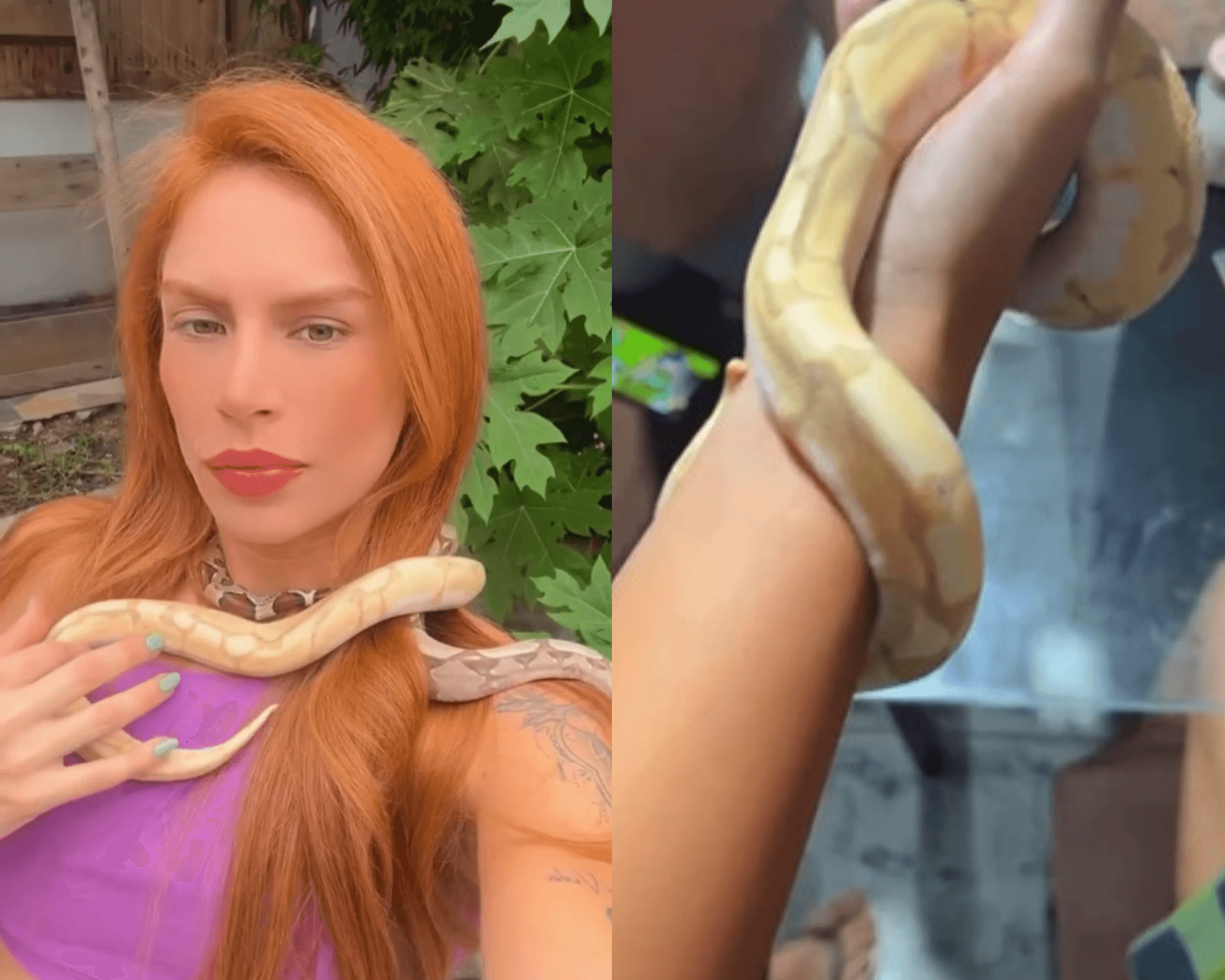 VÍDEO: Crianças da família de Djidja Cardoso brincavam com cobras usadas em rituais de “seita”
