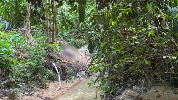 IMAGEM FORTE: Corpo em estado avançado de decomposição é encontrado em Manaus