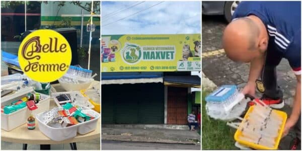 Caso Djidja: Clínica veterinária e salão Belle Femme são alvos de busca e apreensão