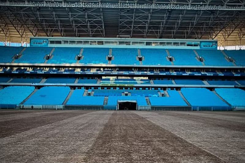 Após enchente, limpeza na Arena do Grêmio encontra peixe