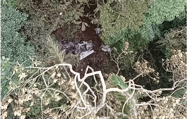 FAB investiga queda de avião que matou ex-diretor da Odebrecht em SC