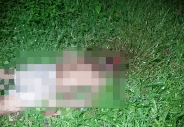 IMAGEM FORTE: Caseiro morre com a cabeça despedaçada com pauladas após briga com ‘amigo’, no AM