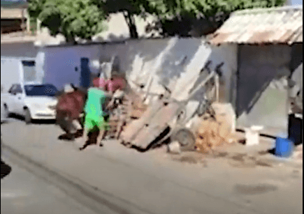 VÍDEO: Homem agride cavalos a golpes de enxada, no Rio de Janeiro