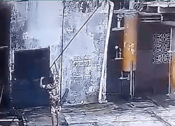 VÍDEO: Adolescente recebe descarga elétrica ao tentar pegar papagaio preso em fio, no AM