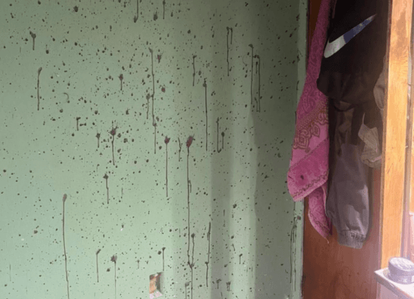 Tentativa de chacina deixa irmãos mortos em Manaus; duas pessoas ficam feridas, entre elas uma criança