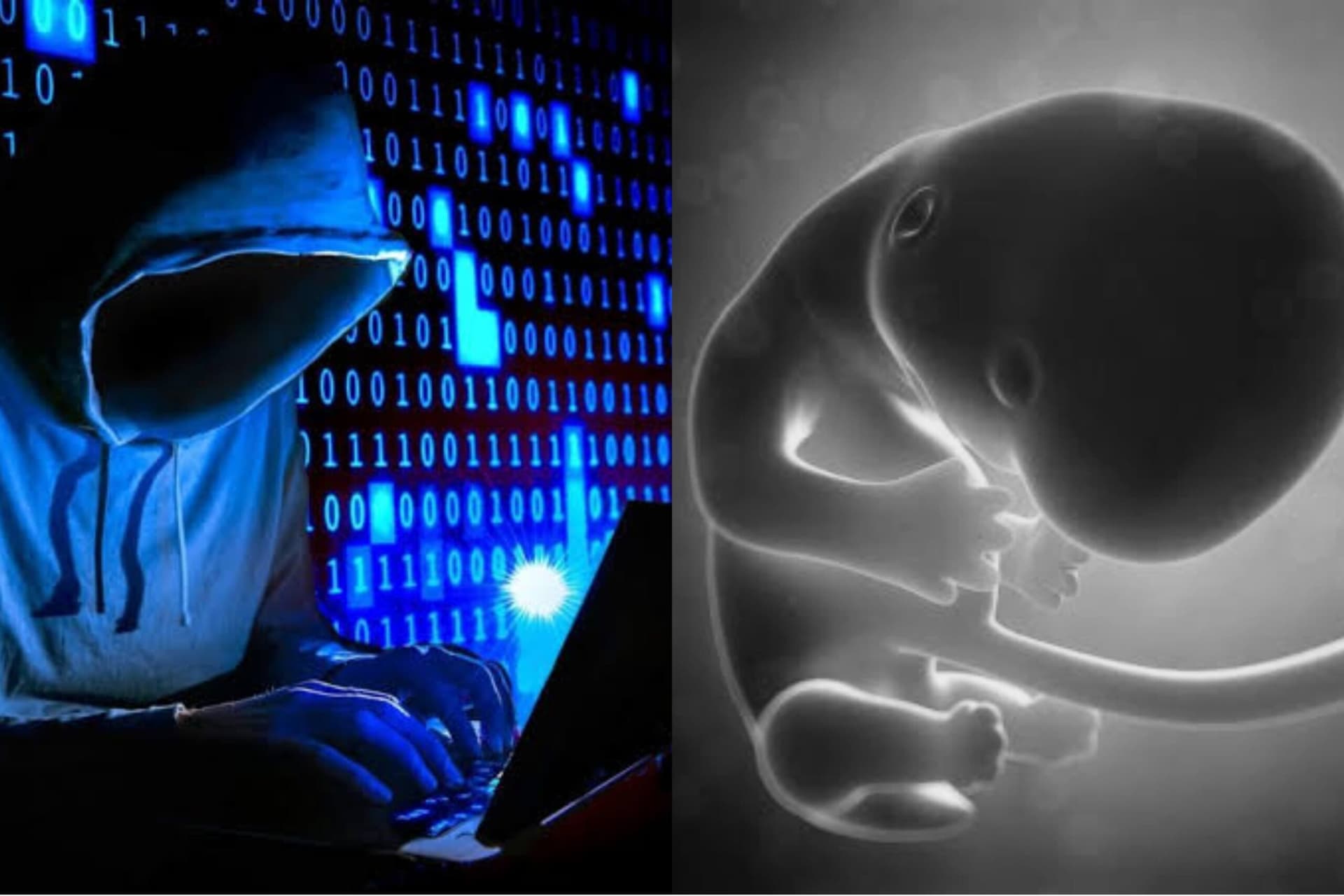 Hackers derrubam sites de deputados favoráveis ao PL do Aborto